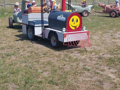 356353154_727594139165374_6373412915119615566_n