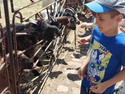 356373043_727475899177198_511570944579199977_n