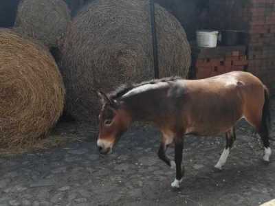 356620401_727475872510534_8822725827754604892_n