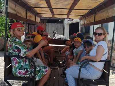 356621878_727475835843871_8192765930134295683_n