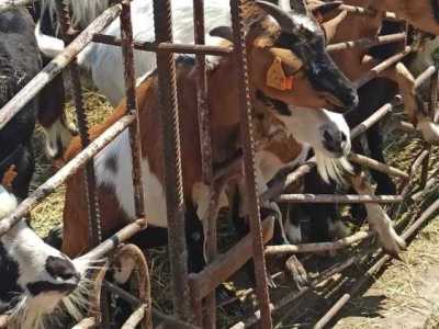 356629577_727475889177199_2166423168796694204_n